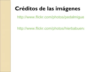Créditos de las imágenes http://www.flickr.com/photos/pedalmiguelo/964920651/ http://www.flickr.com/photos/hierbabuena/3058926413/ 