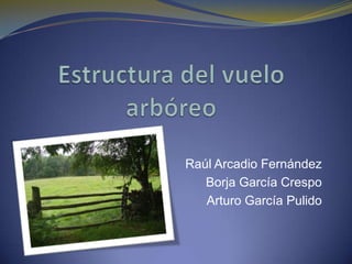 Estructura del vuelo arbóreo Raúl Arcadio Fernández Borja García Crespo Arturo García Pulido 