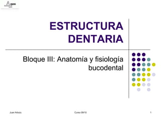 ESTRUCTURA
                         DENTARIA
              Bloque III: Anatomía y fisiología
                                  bucodental




Juan Arbulu                   Curso 09/10         1
 