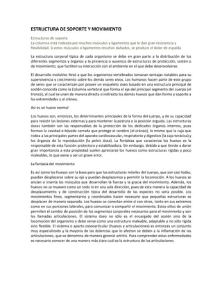 ESTRUCTURA DE SOPORTE Y MOVIMIENTO
Estructuras de soporte
La columna está rodeada por muchos músculos y ligamentos que le dan gran resistencia y
flexibilidad. Si estos músculos o ligamentos resultan dañados, se produce el dolor de espalda.

La estructura corporal típica de cada organismo se debe en gran parte a la distribución de los
diferentes segmentos y órganos y la presencia o ausencia de estructuras de protección, sostén o
de movimiento, que faciliten su interacción con el ambiente en el que debe desenvolverse.

El desarrollo evolutivo llevó a que los organismos vertebrados tomaran ventajas notables para su
supervivencia y crecimiento sobre los demás seres vivos. Los humanos hacen parte de este grupo
de seres que se caracterizan por poseer un esqueleto óseo basado en una estructura principal de
sostén conocida como la Columna vertebral que forma el eje del principal segmento del cuerpo (el
tronco), al cual se unen de manera directa o indirecta los demás huesos que dan forma y soporte a
las extremidades y al cráneo.

Así es un hueso normal

Los huesos son, entonces, los determinantes principales de la forma del cuerpo, y de su capacidad
para resistir las lesiones externas y para mantener la postura o la posición erguida. Las estructuras
óseas también son las responsables de la protección de los dedicados órganos internos, pues
forman la cavidad o bóveda cerrada que protege el cerebro (el cráneo), lo mismo que la caja que
rodea a las principales partes del aparato cardiovascular, respiratorio y digestivo (la caja torácica) y
los órganos de la reproducción (la pelvis ósea). La fortaleza que caracteriza los huesos es la
responsable de esta función protectora y estabilizadora. Sin embargo, debido a que tiende a darse
gran importancia a esta propiedad suelen apreciarse los huesos como estructuras rígidas y poco
maleables, lo que viene a ser un grave error.

La fantasía del movimiento

Es así como los huesos son la base para que las estructuras móviles del cuerpo, que son casi todas,
puedan desplazarse sobre su eje y puedan desplazarnos y permitir la locomoción. A los huesos se
anclan o inserta los músculos que desarrollan la fuerza y la gracia del movimiento. Además, los
huesos no se mueven como un todo ni en una sola dirección, pues de esta manera la capacidad de
desplazamiento y de construcción típica del desarrollo de las especies no sería posible. Los
movimientos finos, segmentarios y coordinados hacen necesario que pequeñas estructuras se
desplacen de manera separada. Los huesos se conectan entre sí con otros, tanto en sus extremos
como en sus porciones laterales, para comunicar o compartir el movimiento. Estos sitios de unión
permiten el cambio de posición de los segmentos corporales necesarios para el movimiento y son
las llamadas articulaciones. El sistema óseo no sólo es el encargado del sostén sino de la
locomoción del organismo y debe verse como una estructura maleable, adaptable y no sólo rígida
sino flexible. El sistema o aparto osteoarticular (huesos y articulaciones) es entonces un conjunto
muy especializado y la mayoría de las dolencias que lo afectan se deben a la inflamación de las
articulaciones, que se denomina de manera general artritis. Para comprender estas enfermedades
es necesario conocer de una manera más clara cuál es la estructura de las articulaciones
 