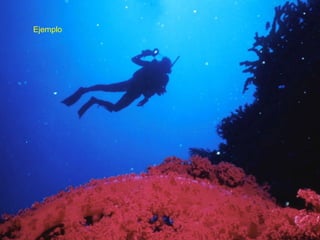 Creación de Estructura Ejemplo 