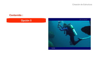 Creación de Estructura Opción 5 Contenido : 