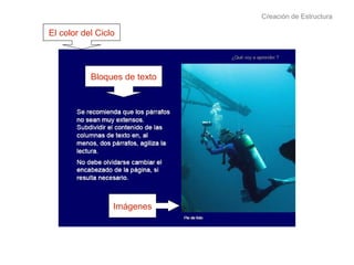 Creación de Estructura Bloques de texto Imágenes El color del Ciclo 
