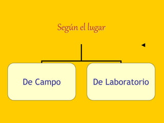 Según el lugar
De Campo De Laboratorio
◄
 