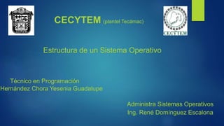 CECYTEM (plantel Tecámac)
Administra Sistemas Operativos
Ing. René Domínguez Escalona
Estructura de un Sistema Operativo
Técnico en Programación
Hernández Chora Yesenia Guadalupe
 