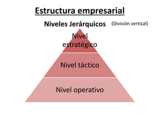 Estructura empresarial 
Niveles Jerárquicos (División vertical) 
Nivel 
estratégico 
Nivel táctico 
Nivel operativo 
 