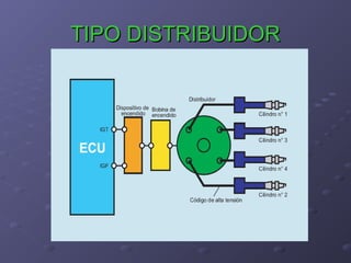 TIPO DISTRIBUIDORTIPO DISTRIBUIDOR