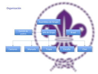 Organización Asamblea de Grupo Comité de padres Jefe de Grupo Kraal Castores Manada Tropa Esculta Clan 