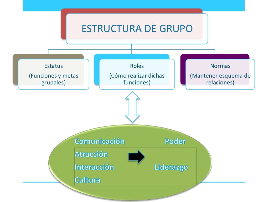 Estructura De Grupo Normas Y Anomia