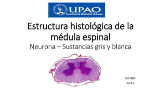 Estructura histológica de la
médula espinal
Neurona – Sustancias gris y blanca
DOCENTE
2022-I
 