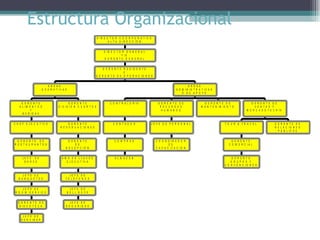 Estructura Organizacional  