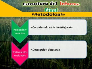 Población y
muestra
•Considerada en la investigación
Tratamientos
evaluados
•Descripción detallada
 