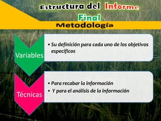 Variables
•Su definición para cada uno de los objetivos
específicos
Técnicas
•Para recabar la información
• Y para el análisis de la información
 