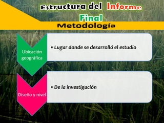 Ubicación
geográfica
•Lugar donde se desarrolló el estudio
Diseño y nivel
•De la investigación
 