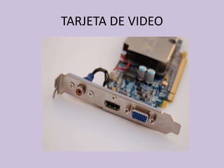 TARJETA DE VIDEO<br />
