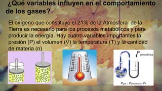 ¿Qué variables influyen en el comportamiento
de los gases?
El oxígeno que constituye el 21% de la Atmósfera de la
Tierra es necesario para los procesos metabólicos y para
producir la energía. Hay cuatro variables importantes la
presión (P) el volumen (V) la temperatura (T) y la cantidad
de materia (n) .
 