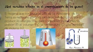 ¿Qué variables influyen en el comportamiento de los gases?
El oxígeno que constituye el 21% de la Atmósfera de la
Tierra es necesario para los procesos metabólicos y para
producir la energía. Hay cuatro variables importantes la
presión (P) el volumen (V) la temperatura (T) y la cantidad
de materia (n) .
 