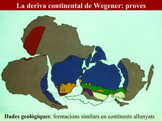 Dades geològiques : formacions similars en continents allunyats La deriva continental de Wegener: proves 