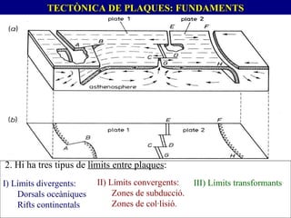  2. Hi ha tres tipus de  límits entre plaques : I) Límits divergents:  Dorsals oceàniques Rifts continentals II) Límits convergents: Zones de subducció. Zones de col·lisió . III) Límits transformants   TECTÒNICA DE PLAQUES: FUNDAMENTS 