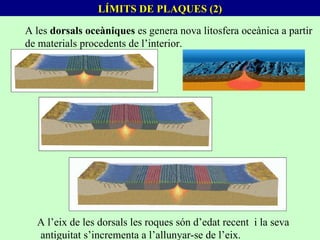 LÍMITS DE PLAQUES (2) A les  dorsals oceàniques  es genera nova litosfera oceànica a partir de materials procedents de l’interior. A l’eix de les dorsals les roques són d’edat recent  i la seva  antiguitat s’incrementa a l’allunyar-se de l’eix. 
