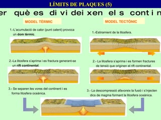 2.-La litosfera s’aprima i es fractura generant-se un  rift continental . 3.- Se separen les vores del continent i es forma litosfera oceànica. 1.-Estiramient de la litosfera. 2.- La litosfera s’aprima i es formen fractures de tensió que originen el rift continental. 3.- La descompressió afavoreix la fusió i s’injecten dics de magma formant la litosfera oceànica. 1.-L’acumulació de calor (punt calent) provoca un  dom tèrmic . LÍMITS DE PLAQUES (5) MODEL TÈRMIC MODEL TECTÒNIC Per què es divideixen els continents? 