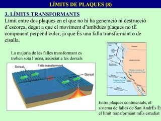 3. LÍMITS TRANSFORMANTS Límit entre dos plaques en el que no hi ha generació ni destrucció d’escorça, degut a que el moviment d’ambdues plaques no té component perpendicular, ja que és una falla transformant o de cisalla. LÍMITS DE PLAQUES (8) La majoria de les falles transformant es troben sota l’oceà, associat a les dorsals Entre plaques continentals, el sistema de falles de San Andrés és el límit transformant més estudiat Dorsal Dorsal Falla transformant 