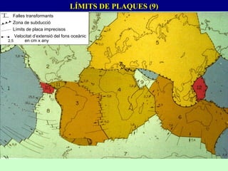 LÍMITS DE PLAQUES (9) Falles transformants Zona de subducció Límits de placa imprecisos   Velocitat d’extensió del fons oceànic  2,5   en cm x any 