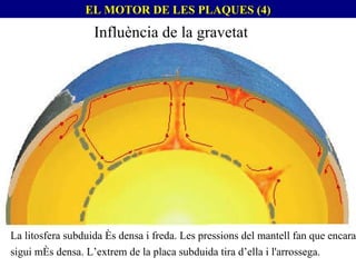 La litosfera subduida és densa i freda. Les pressions del mantell fan que encara sigui més densa. L’extrem de la placa subduida tira d’ella i l'arrossega. Influència de la gravetat EL MOTOR DE LES PLAQUES (4) 