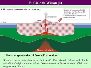 1. Hot-spot (punt calent) i formació d’un dom :  S’inicia com a conseqüència de la irrupció d’un plomall del mantell. En la superfície s’origina un punt calent. Com a resultat es forma un dom i s’inicia un magmatisme bimodal. El Cicle de Wilson (4) 