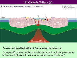 El Cicle de Wilson (6) 3. Avança el procés de rifting i l’aprimament de l’escorça : La depressió tectònica (rift) es invadida pel mar, i es donen processos de sedimentació (dipòsits de sèries sedimentàries marines profundes). 