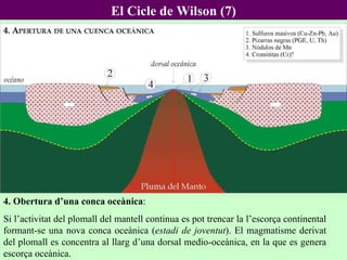 El Cicle de Wilson (7) 4. Obertura d’una conca oceànica : Si l’activitat del plomall del mantell continua es pot trencar la l’escorça continental formant-se una nova conca oceànica ( estadi de joventut ). El magmatisme derivat del plomall es concentra al llarg d’una dorsal medio-oceànica, en la que es genera escorça oceànica.  
