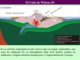 6 . La col·lisió continental ( estadi relicte ) entre un marge continental i una zona de subducció és la conseqüència final d’un procés continu de subducció, i origina cinturons muntanyosos i l’engrossament de l’escorça.  El Cicle de Wilson (9) 