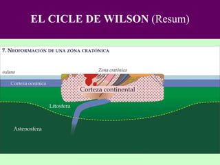 EL CICLE DE WILSON  (Resum) 