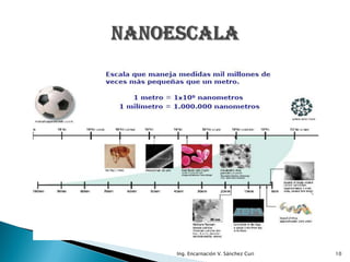 Ing. Encarnación V. Sánchez Curi   10
 