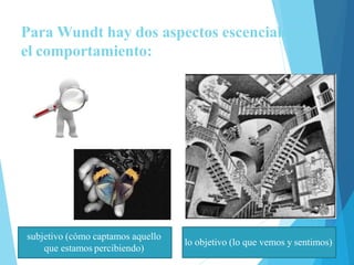 lo objetivo (lo que vemos y sentimos)
subjetivo (cómo captamos aquello
que estamos percibiendo)
Para Wundt hay dos aspectos escenciales en
el comportamiento:
 