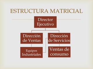 ESTRUCTURA MATRICIAL
                  
            Director
            Ejecutivo

   Dirección       Dirección
   de Ventas      de Servicios

     Equipos      Ventas de
   Industriales   consumo
 