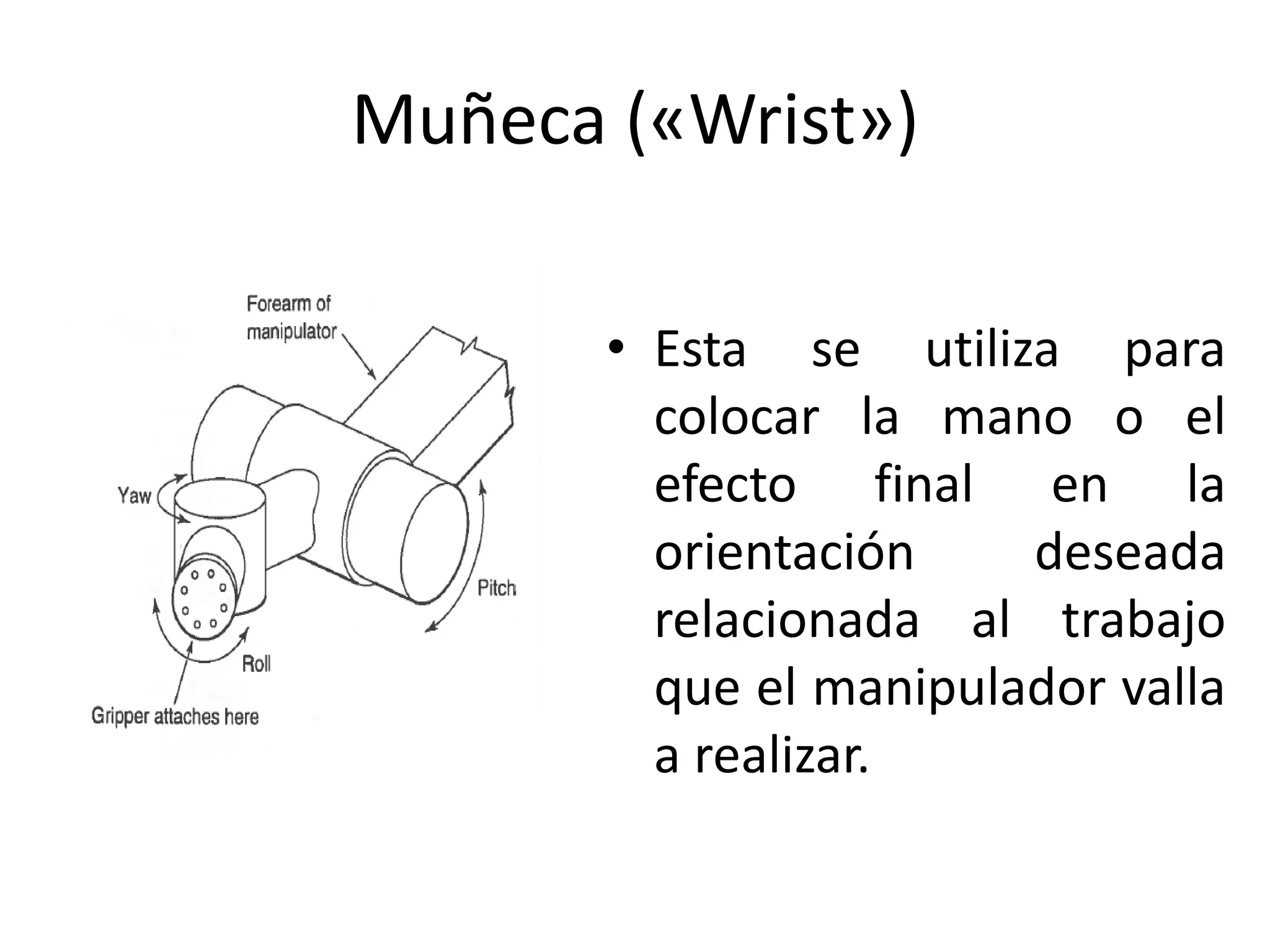 Muñeca («Wrist»)
• Esta se utiliza para
colocar la mano o el
efecto final en la
orientación deseada
relacionada al trabajo
que el manipulador valla
a realizar.
 