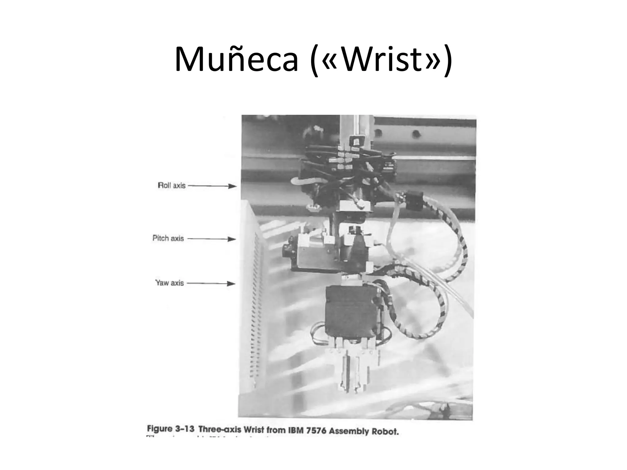 Muñeca («Wrist»)
 