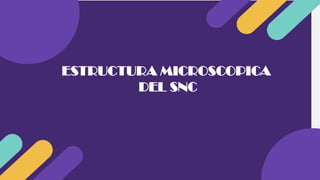 ESTRUCTURA MICROSCOPICA
DEL SNC
 