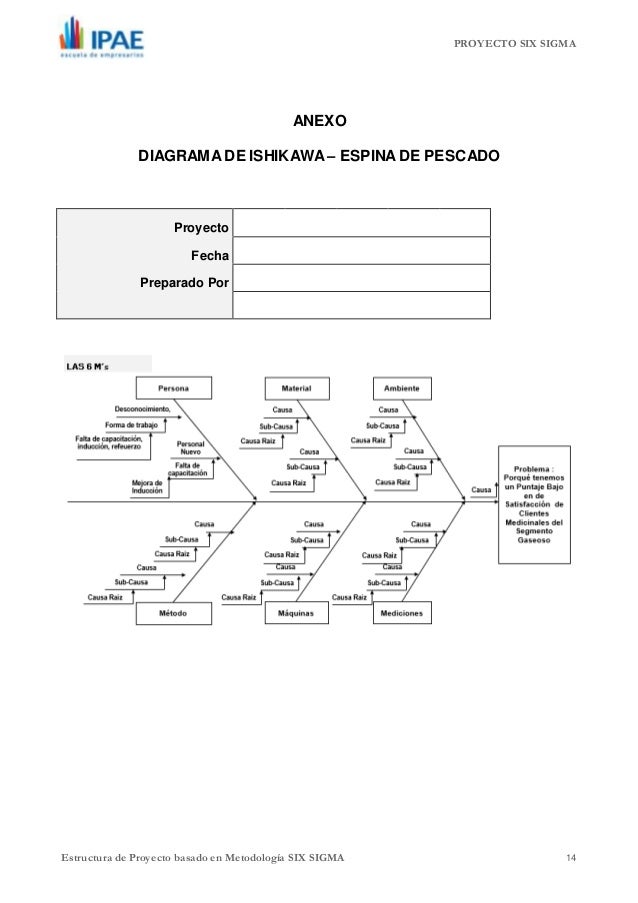Estructura Modelo de Proyecto Six Sigma