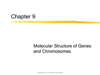 Chapter 9




        Molecular Structure of Genes
        and Chromosomes



            Copyright (c) by W. H. Freeman and Company
 