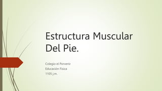 Estructura Muscular
Del Pie.
Colegio el Porvenir
Educación Física
1105 j.m.
 