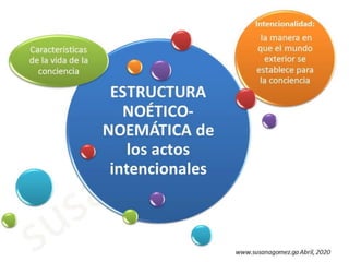 Estructura noético noemática