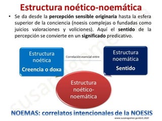 Estructura noético noemática