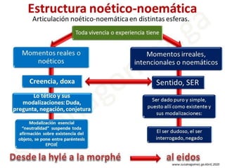 Estructura noético noemática