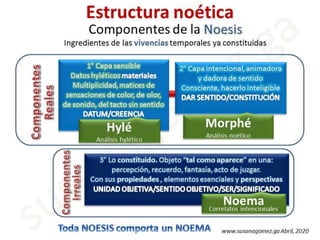 Estructura noético noemática