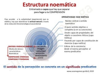 Estructura noético noemática