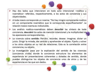 Estructura noético noemática