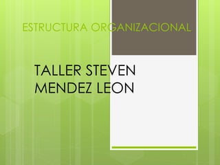 ESTRUCTURA ORGANIZACIONAL 
TALLER STEVEN 
MENDEZ LEON 
 