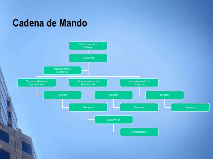 Estructura organizacional